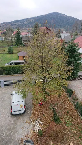 SERWIS dla DOMU i OGRODU - wycinka i pielęgnacja drzew